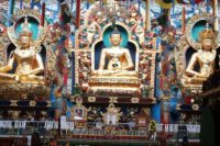 Valparai Tour Packages